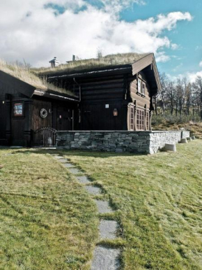 Large Cabin By Farhovdtjønn In Rauland